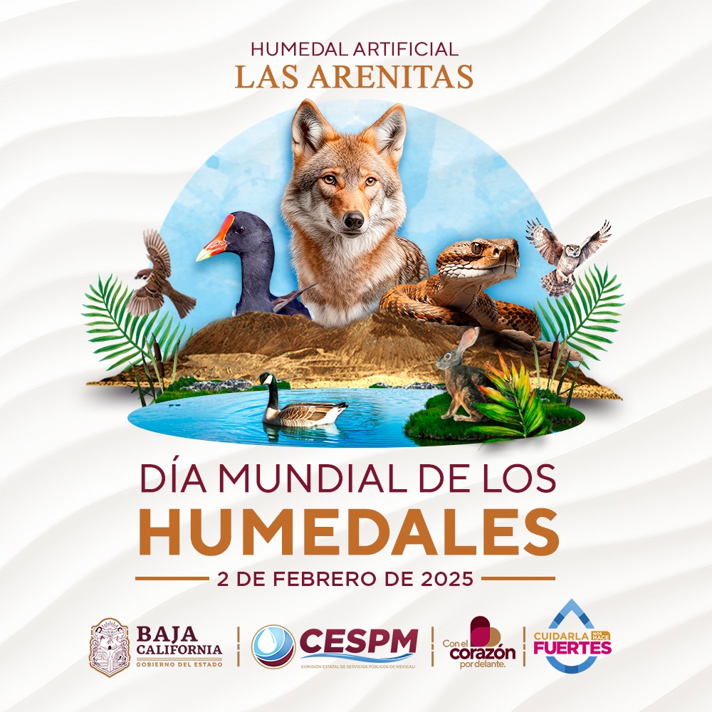 MEXICALI CONMEMORA EL DÍA MUNDIAL DE LOS HUMEDALES: LA IMPORTANCIA DEL ECOSISTEMA "LAS ARENITAS" 